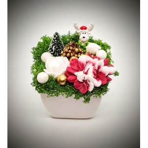 Szappanvirág  csokor - karácsonyi - kicsi szarvassal - fehér kaspóban 1.