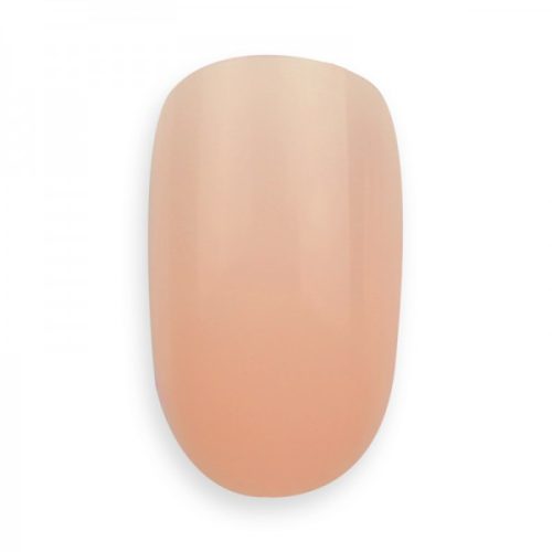 Brillbird - NUDE NAILART TIP - 50 db