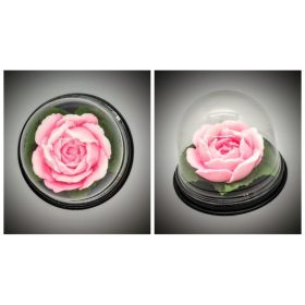   Szappan - Rózsaszín bazsarózsa - Dove illatban - búrában