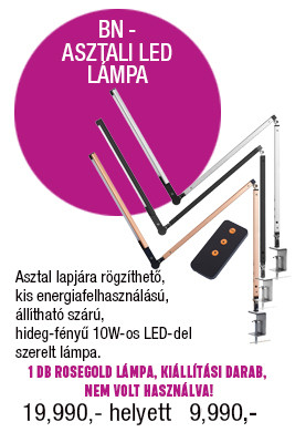 BN - Asztali LED lámpa - asztallapra erősíthető - távkapcsolóval - 10W - Rose Gold