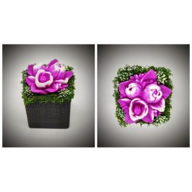   Szappanvirág  csokor - fukszia tulipán csokor  - fekete kocka kaspóban 3.