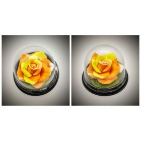 Szappan - sárga-narancs rózsa - búrában