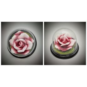 Szappan - fehér-piros rózsa - búrában