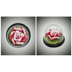 Szappan - fehér-piros rózsa - búrában2