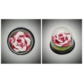 Szappan - fehér-piros rózsa - búrában1