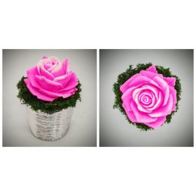 Szappanvirág - pink rózsa - ezüst színű kis kaspóban