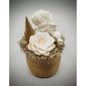 Szappanvirág angyalka - arany színű kis körkaspóban 2.