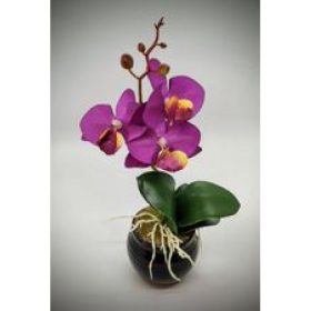   Virág - Orchidea élethű selyemvirág - kb. 25cm - lila színben - fekete kis kaspóban - 4.