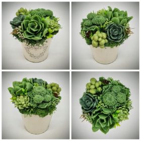   Szappanvirág - Szukkulens - pozsgás szappanvirág csokor - közepes fém kaspóban - 4.