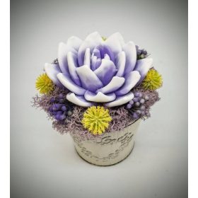   Szappanvirág - Lila-fehér  szappanvirág - fém kaspóban - 3.