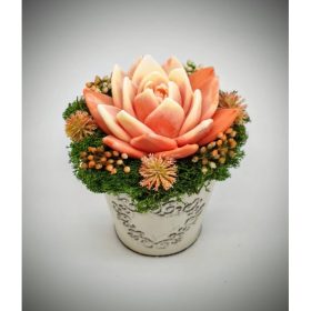   Szappanvirág - Narancssárga szappanvirág - fém kaspóban - 5.