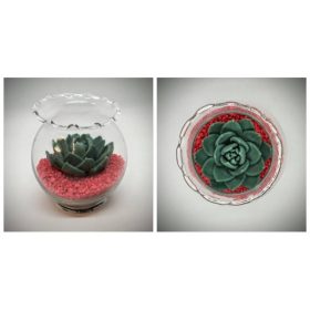 Szappanvirág csokor - szukulens üveg kaspóban