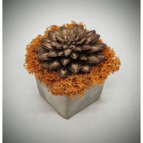   Szappanvirág - barna metál szappanvirág - mini cement kaspóban - 1.