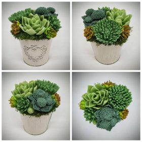   Szappanvirág - Szukkulens - pozsgás szappanvirág csokor - fém kaspóban - 1.