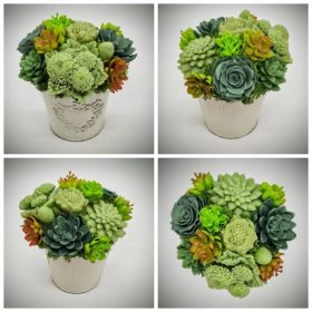   Szappanvirág - Szukkulens - pozsgás szappanvirág csokor - fém kaspóban - 2.