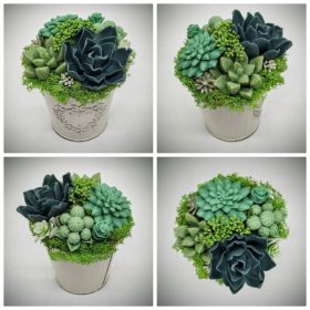   Szappanvirág - Szukkulens - pozsgás szappanvirág csokor - fém kaspóban - 1.