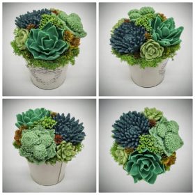   Szappanvirág - Szukkulens - pozsgás szappanvirág csokor - fém kaspóban - 2.