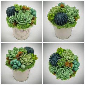   Szappanvirág - Szukkulens - pozsgás szappanvirág csokor - fém kaspóban - 3.