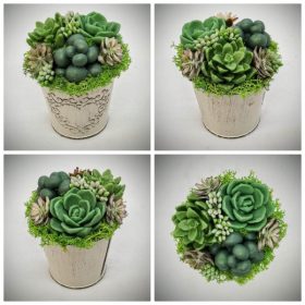   Szappanvirág - Szukkulens - pozsgás - mini fém kaspóban - 1.