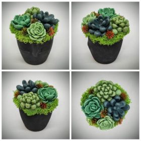   Szappanvirág - Szukkulens - pozsgás szappanvirág csokor - fekete arc kerámia kaspóban - 3.