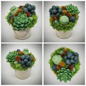   Szappanvirág - Szukkulens - pozsgás - mini fém kaspóban - 2.