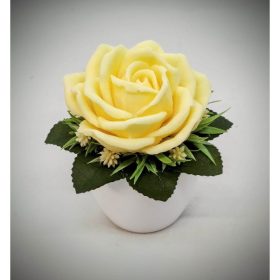  Szappanvirág - Sárga rózsa szappanvirág - kis fehér kaspóban