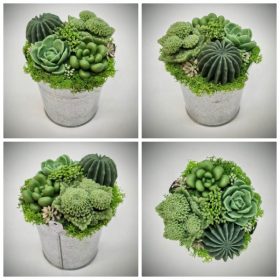   Szappanvirág - Szukkulens - pozsgás szappanvirág csokor - ezüst fém vödörben