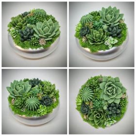   Szappanvirág - Szukkulens - pozsgás szappanvirág csokor - ezüst tál kaspóban