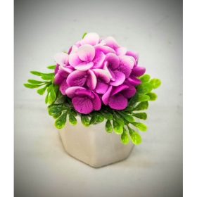   Szappanvirág - mini - fukszia szappanvirág csokor- mini fehér gipsz kaspóban - 1.