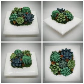   Szappanvirág - Szukkulens - pozsgás szappanvirág csokor - fehér műanyag tálban - 4.