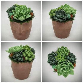   Szappanvirág - Szukkulens - pozsgás szappanvirág csokor - barna arc kerámia kaspóban - 3.
