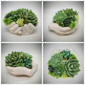   Szappanvirág csokor - Pozsgás szappanvirág csokor - fehér gipsz kéz kaspóban - 4.