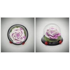   Szappan - Rózsaszín szappan rózsa - műanyag búrában - 2.