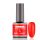 BRILLBIRD - RUBBER GEL BASE&COLOR - 10 - 8ML