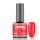 BRILLBIRD - RUBBER GEL BASE&COLOR - 11 - 8ML