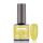 BRILLBIRD - RUBBER GEL BASE&COLOR - 12 - 8ML