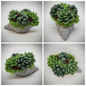   Szappanvirág csokor - Pozsgás - szappanvirág csokor - kis gipsz szürke kagyló kaspóban - 2.