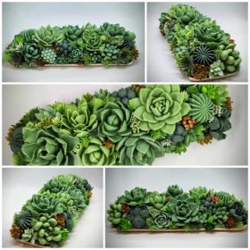   Szappanvirág - Szukkulens - pozsgás szappanvirág csokor - bézs tálban