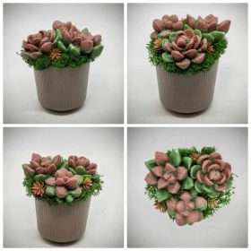   Szappanvirág - Szukkulens - pozsgás szappanvirág csokor - kis barna műanyag kaspóban - 3.