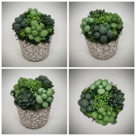   Szappanvirág - Szukkulens - pozsgás szappanvirág csokor - kis  kőkaspóban - 1.