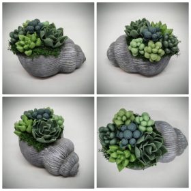   Szappanvirág - Szukkulens - pozsgás szappanvirág csokor - szürke kagyló formájú beton kaspóban - 5.