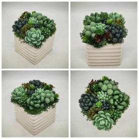   Szappanvirág - Szukkulens - pozsgás szappanvirág csokor - fehér bordás kocka kerámia kaspóban - 4.