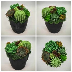   Szappanvirág - Szukkulens - pozsgás szappanvirág csokor - fekete arc kerámia kaspóban - 1.