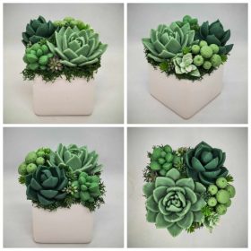   Szappanvirág - Szukkulens - pozsgás szappanvirág csokor - fehér kocka kerámia kaspóban - 5.