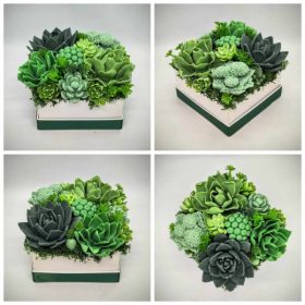   Szappanvirág - Szukkulens - pozsgás szappanvirág csokor - fehér kocka papír dobozban - 6.