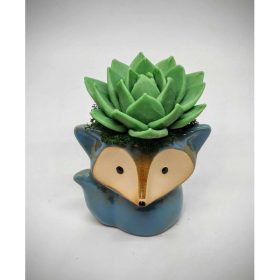   Szappanvirág - Szukkulens - pozsgás szappanvirág csokor - róka kerámia kaspóban - 2.