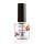 Brillbird - Autumn Harvest - Parfümolaj - 8ml