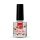 Crystal Nails - CUTICLE OIL - BŐROLAJ - CHRISTMAS SPICE - 4ML - Limitált!