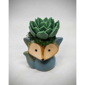   Szappanvirág - Szukkulens - pozsgás szappanvirág csokor - róka kerámia kaspóban - 1.