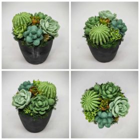   Szappanvirág - Szukkulens - pozsgás szappanvirág csokor - fekete arc kerámia kaspóban - 2.